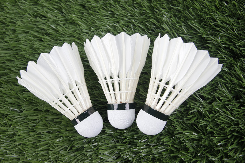 badminton betting uk